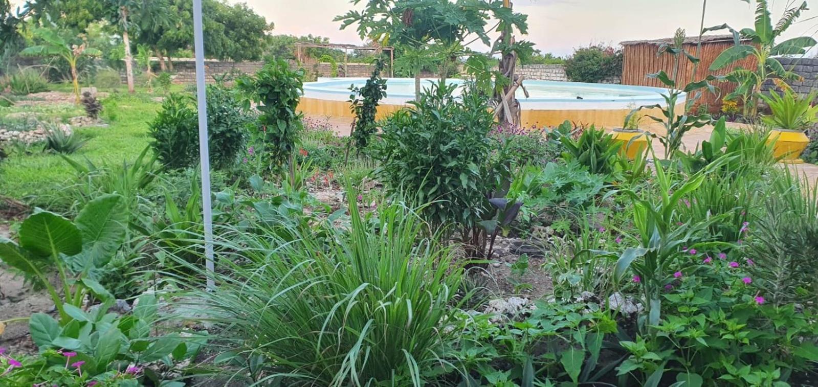Matemwe Ocean View Villas מראה חיצוני תמונה