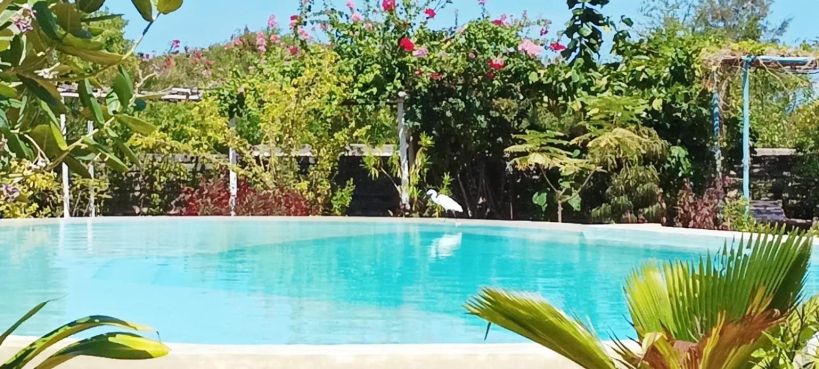 Matemwe Ocean View Villas מראה חיצוני תמונה